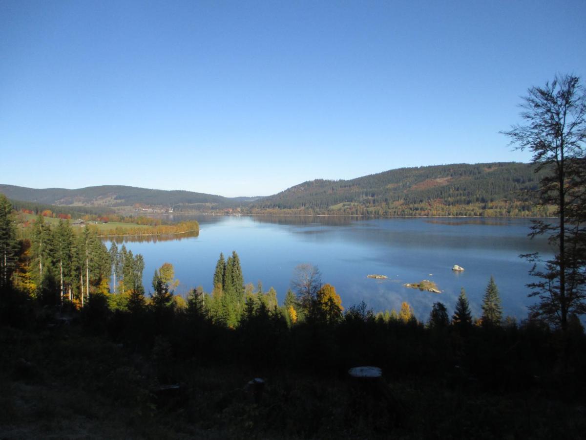 Haus Steininger Lägenhet Schluchsee Exteriör bild