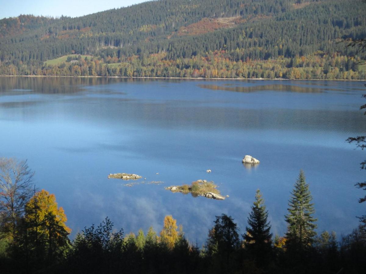 Haus Steininger Lägenhet Schluchsee Exteriör bild